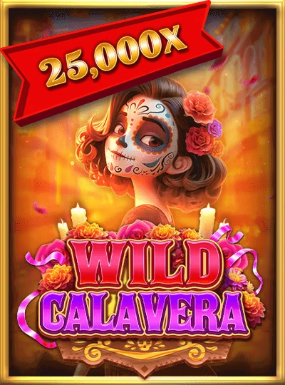 w99p